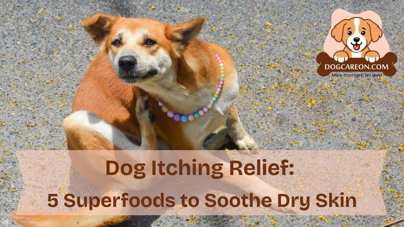 Dog Itching Relief