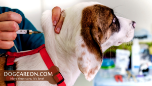 Dog Grooming Vaccines