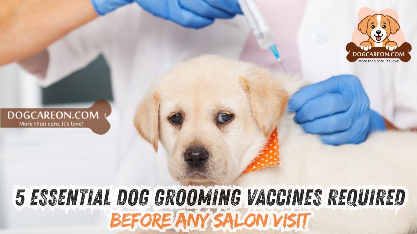 Dog Grooming Vaccines Required
