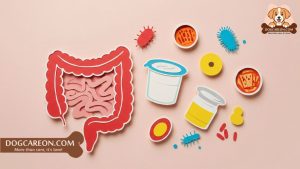 How to Improve Dog Gut Health