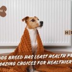 which dog breed has least health problems